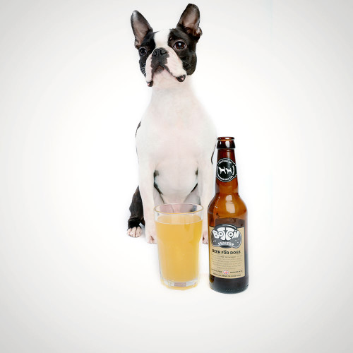 Bottom Sniffer Beer for Dogs Duo Pack