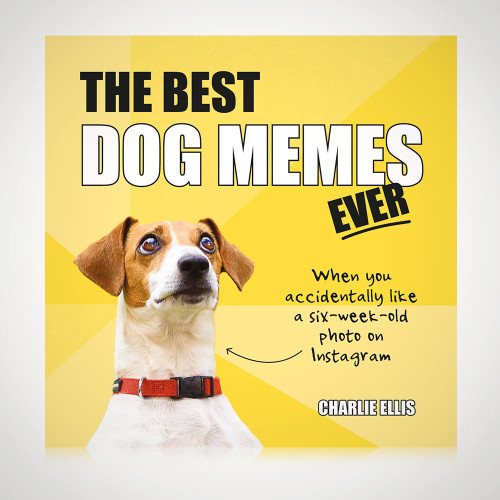 The Best Dog Memes Ever