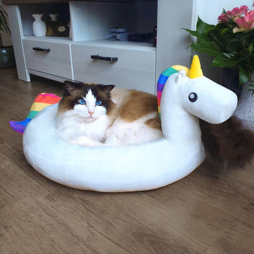 Unicorn Pet Bed