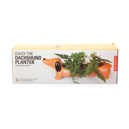 Daisy the Dachshund Sausage Dog Planter packaging