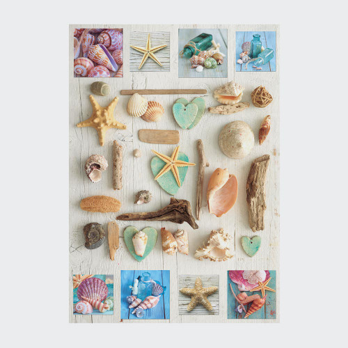 Seashells Collage 1000 Piece Puzzle