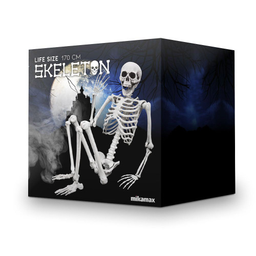 Life-Size Skeleton