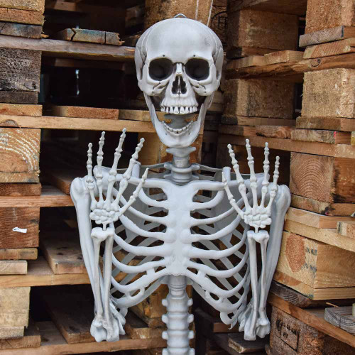 Life-Size Skeleton