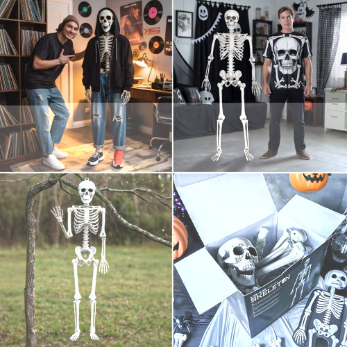 Life-Size Skeleton