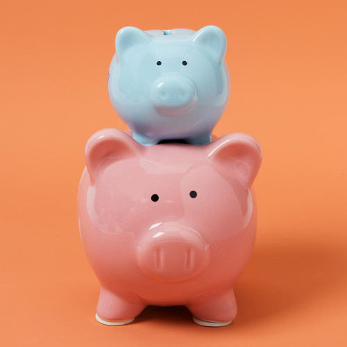 His and Hers Double Piggy Bank