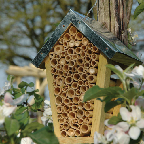 Bee House – FSC Certified