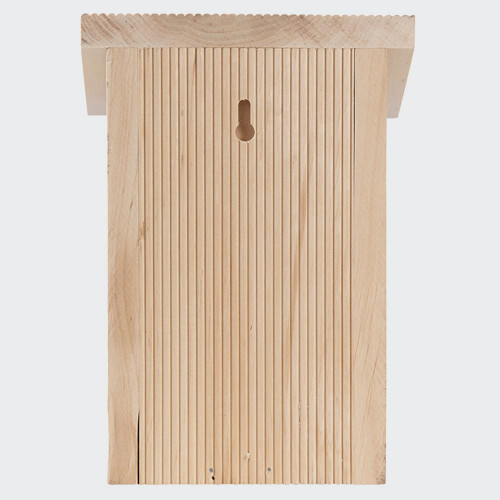 Bee House in Gift Box