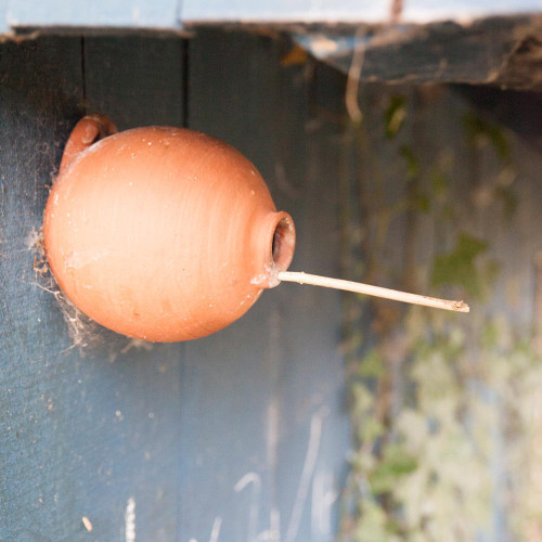 Round Blue Tit Terracotta Bird Pot