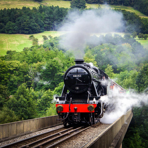 Family Steam Train Experience