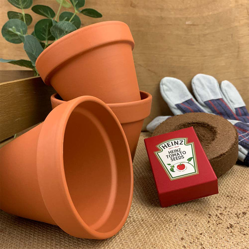 Heinz Ketchup - Grow Your Own Heinz Tomatoes