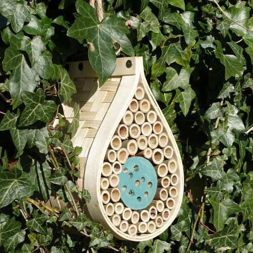 Dewdrop Bee and Bug Hotel