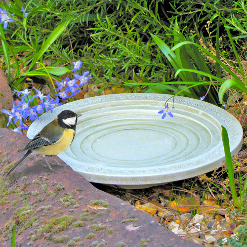 Nature Oasis Birdbath and Drinker