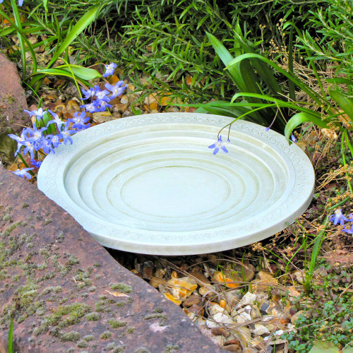 Nature Oasis Birdbath and Drinker