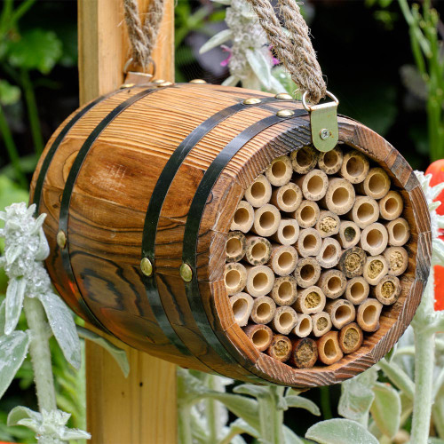 The Bee Barrel