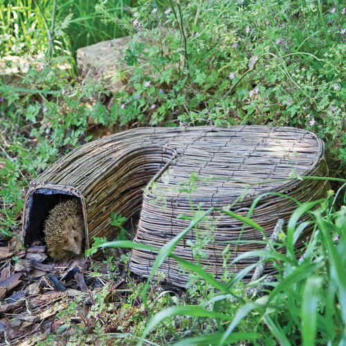 Hedgehog Retreat – Hedgehog House