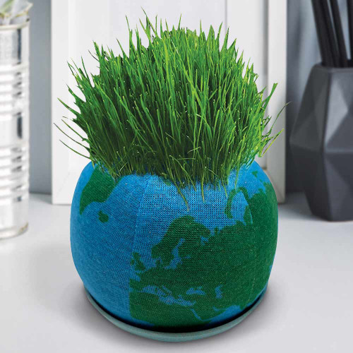 Grow Your Own Green Earth Plant