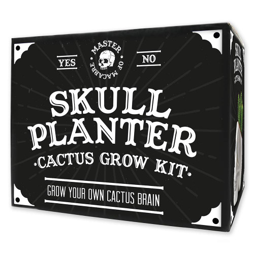 Skull Planter Cactus Grow Kit