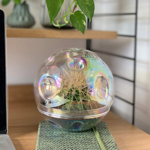 Moon Terrarium