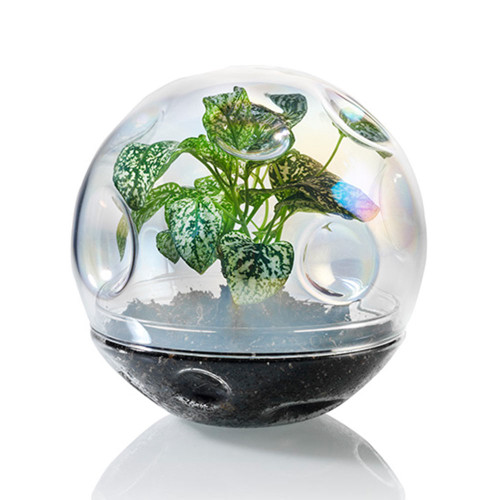Moon Terrarium