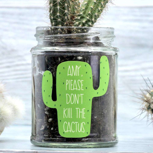 Personalised ‘Don’t Kill Me’ Cactus Jar Grow Kit