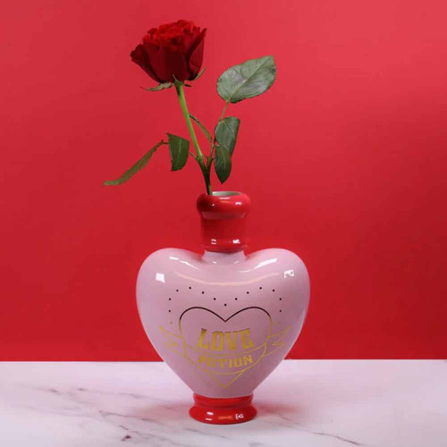 Harry Potter Love Potion Vase