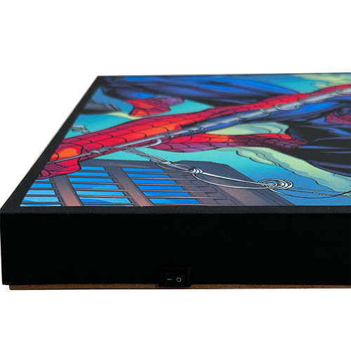 Marvel Spider-Man Light Up Canvas