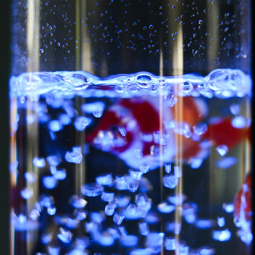 RED5 Bubble Fish Tower
