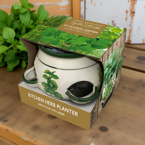 Kitchen Herb Pot and Growing Set