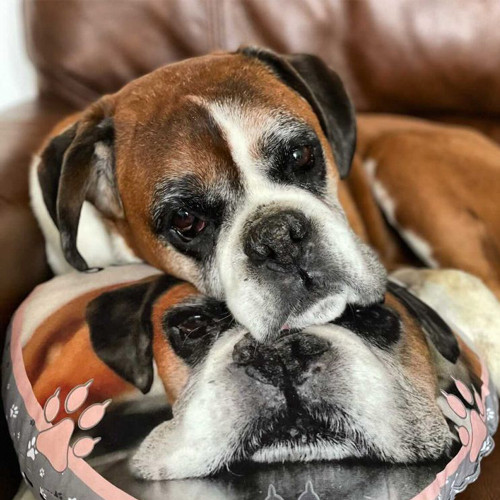 Personalised Create Your Own Heart Shaped Cushion