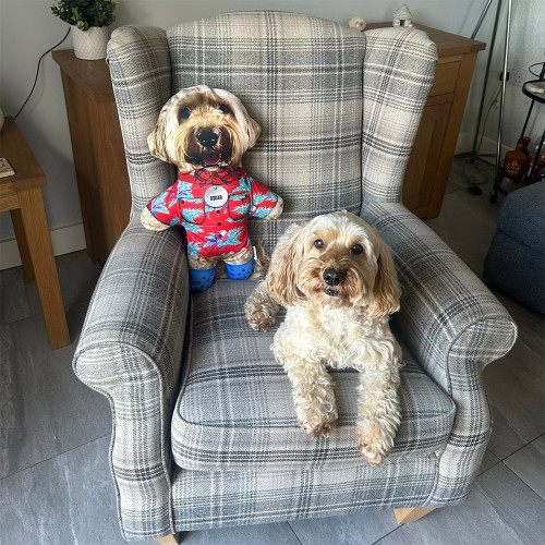 Personalised Create Your Own Pet - Floppy Ears Dog