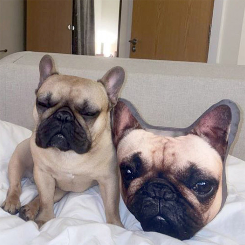 Personalised Mega Dog Mush Cush Cushion - Pointy Ears