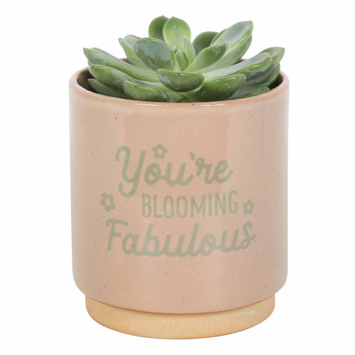 You're Blooming Fabulous Planter
