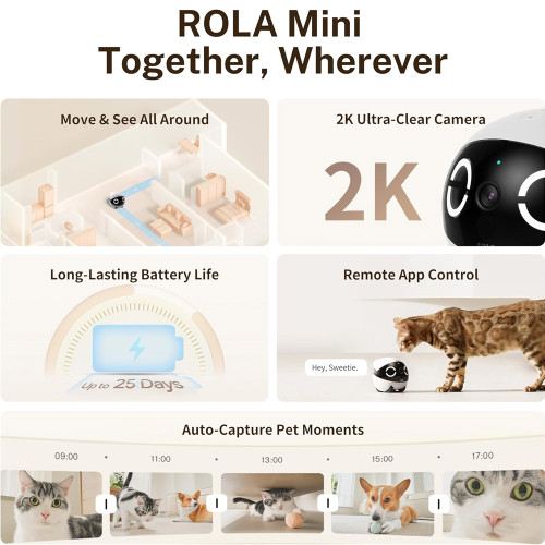 Enabot Rola Mini Pet Companion Robot