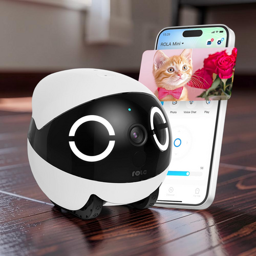 Enabot Rola Mini Pet Companion Robot