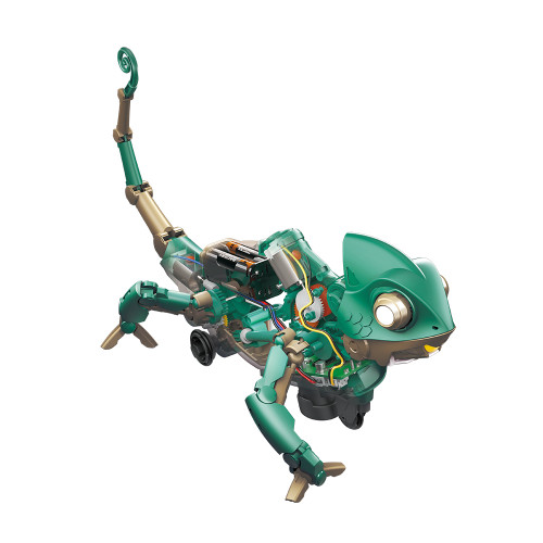 Construct & Create Codee the Colour-Sensing Chameleon