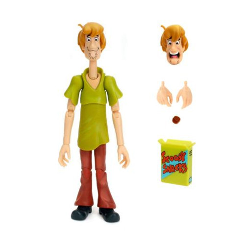 Scooby-Doo Shaggy Deluxe Figure