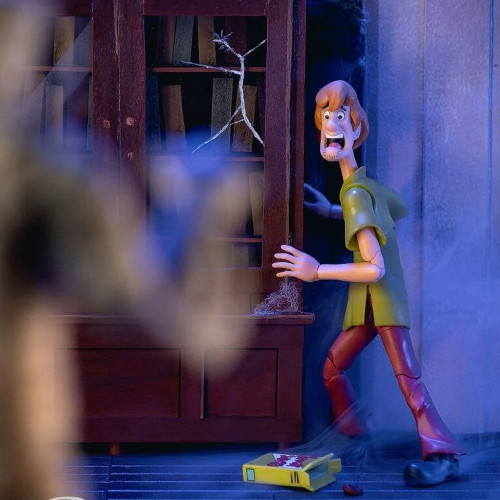 Scooby-Doo Shaggy Deluxe Figure