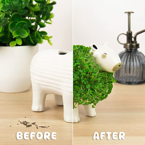Capybara Chia Planter