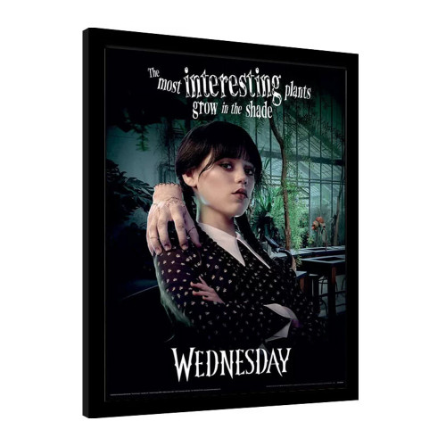 Wednesday Shade Collector Print