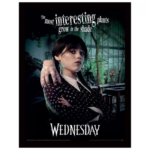 Wednesday Shade Collector Print