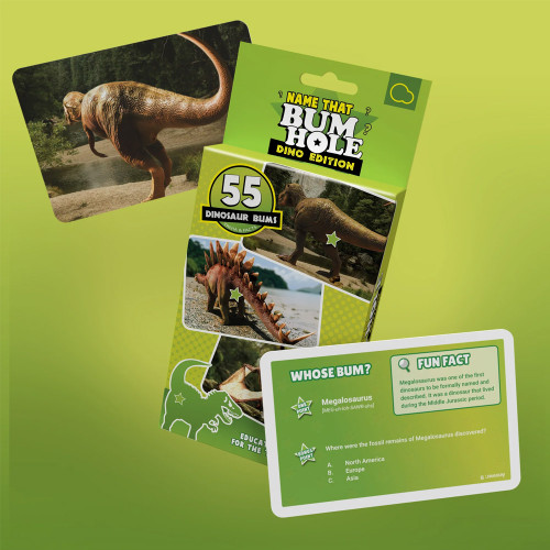 Name That Bumhole Dinosaur Edition Card Game