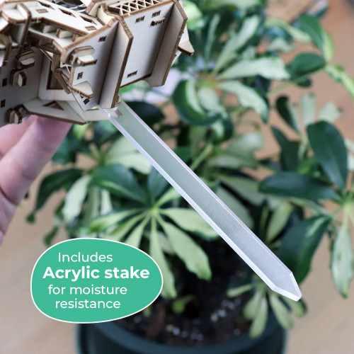 Forest Cottage Wooden Kit