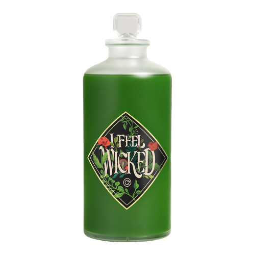 Wicked Elphaba Potion Bottle Light