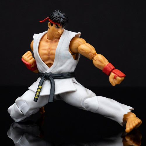Street Fighter Ryu Deluxe Collector Figure