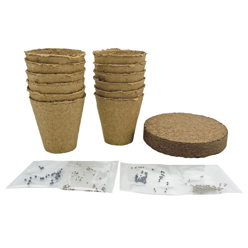 4 in 1 Red Hot Chillies Seed Starter Kit