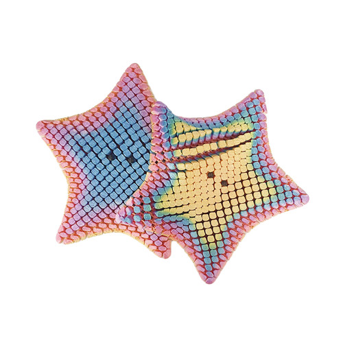 Fidgi 3D Printed Starfish - Random Assorted Colour