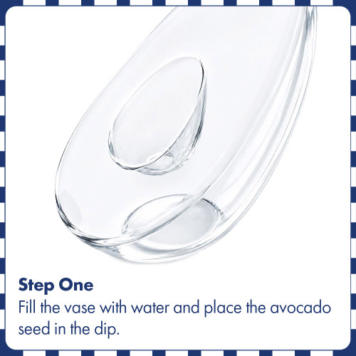 Avocado Vase