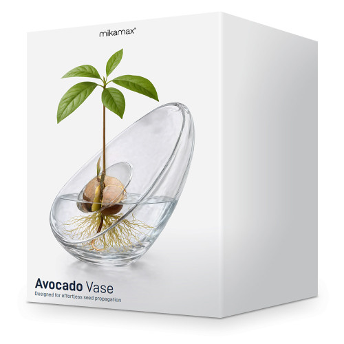 Avocado Vase