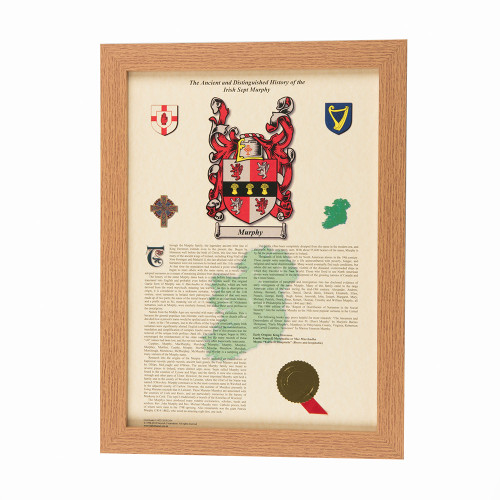 Personalised Irish Coat of Arms and Surname History Print - Framed