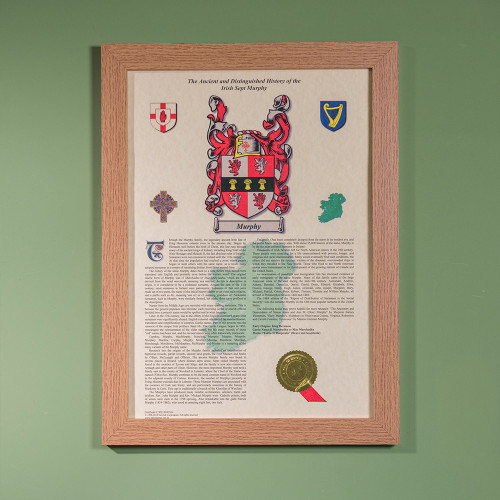 Personalised Irish Coat of Arms and Surname History Print - Framed